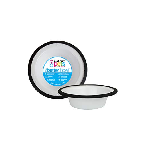 10 Reasons Why Cats are the Best Pets