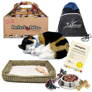 A Cat Bag With a Bed Toys And Food: Ultimate Travel Companion!