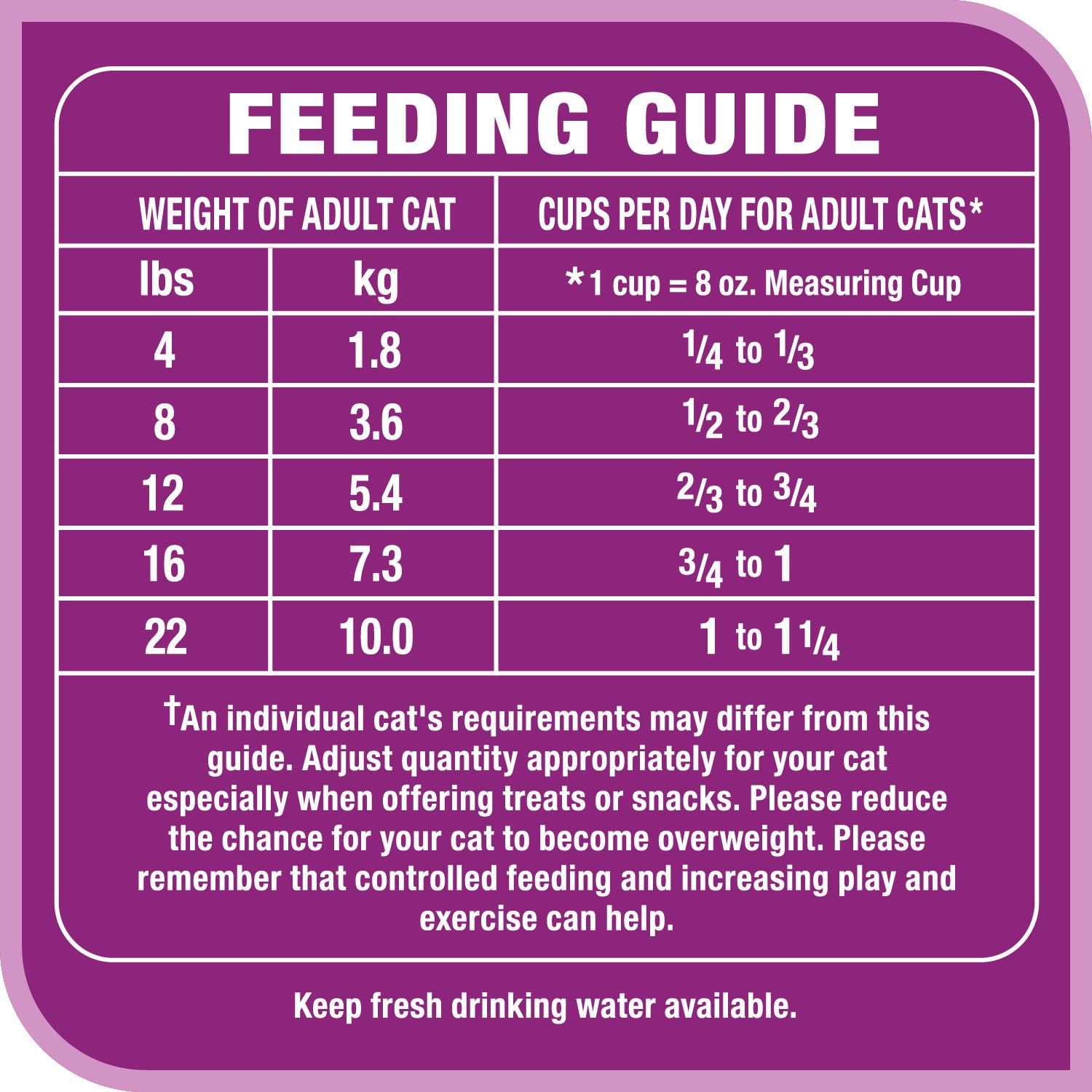 A Cup of Food a Day for Adult Cat: Essential Feeding Tips