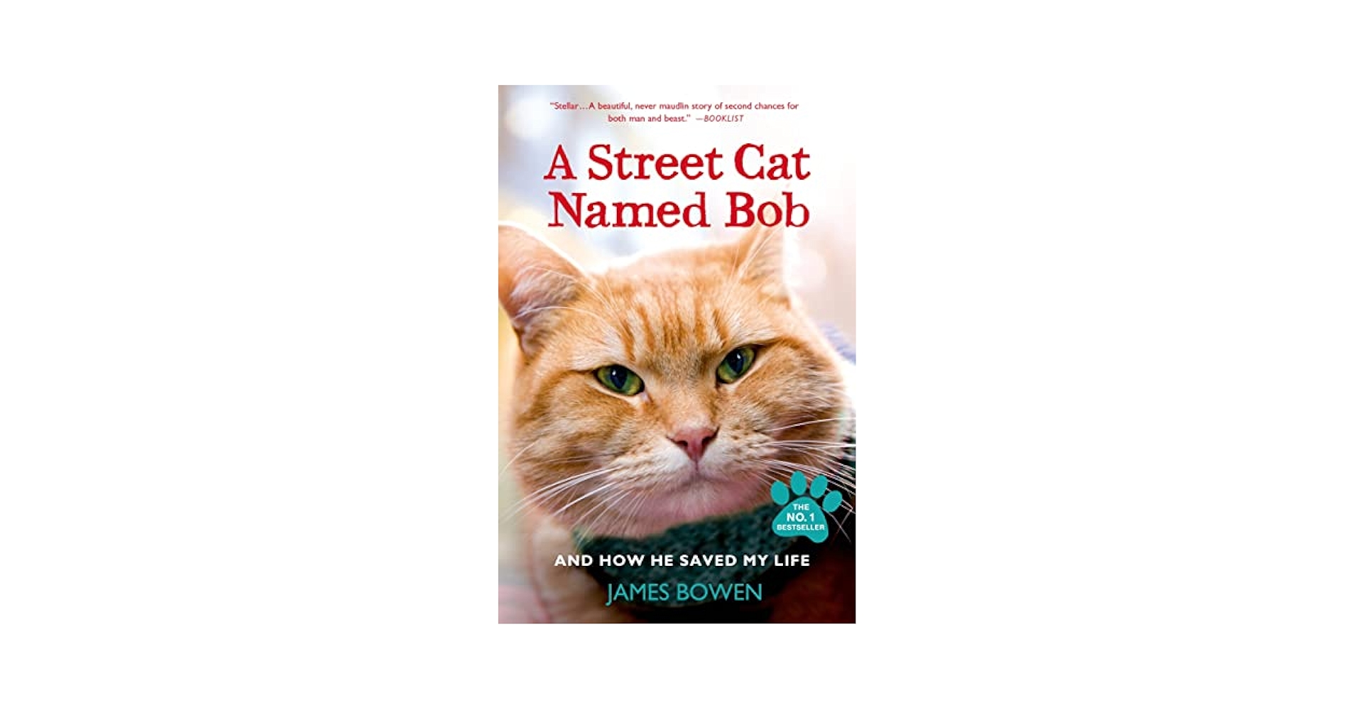 A Street Cat Named Bob Toy: Irresistible Collectible for Fans
