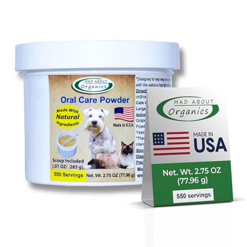 All About Cats Best Cat Food: Top Picks for Health and Flavor