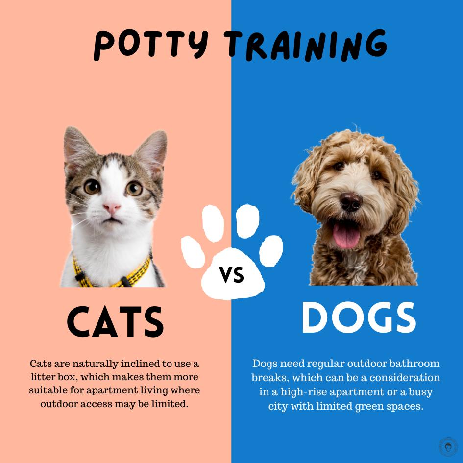 Are Cats Or Dogs Easier to Potty Train
