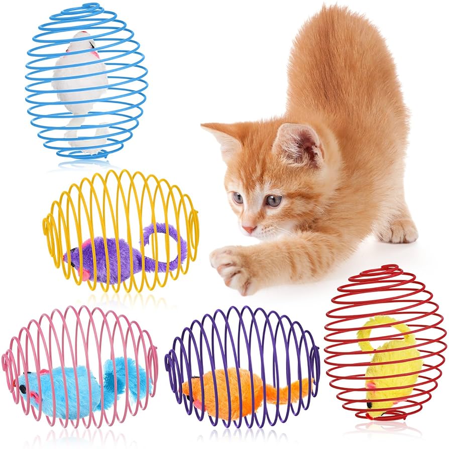 Are Plastic Cat Toy Balls Ok for Rats
