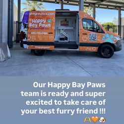 Are There Mobile Cat Grooming near Me: Find Trusted Experts Fast