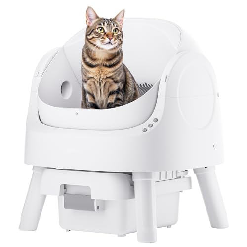 Best Affordable Automatic Cat Litter Box