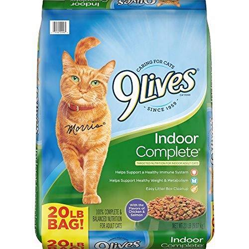 Best Affordable Dry Cat Food Reddit