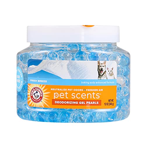 Best Air Freshener for Cat Odor: Top Picks to Eliminate Pet Smells