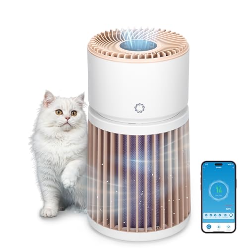 Best Air Purifier for Cat Urine Odor: Top Solutions for Fresh Air