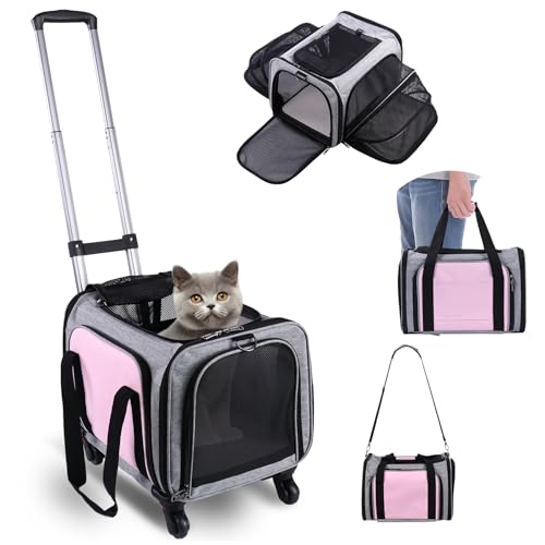 Best Airline to Fly With Cats: Top TSA-Approved Pet Carriers Reviewed