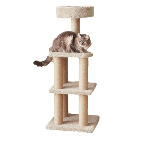 Best Amazon Cat Trees for Large Cats: Top Durable & Spacious Picks