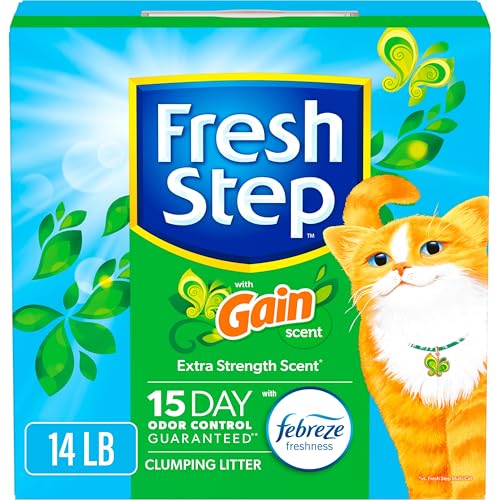 Best And Cheapest Cat Litter