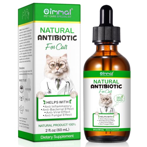 Best Antibiotic for Cat Tooth Abscess: Natural, Effective Immune Support