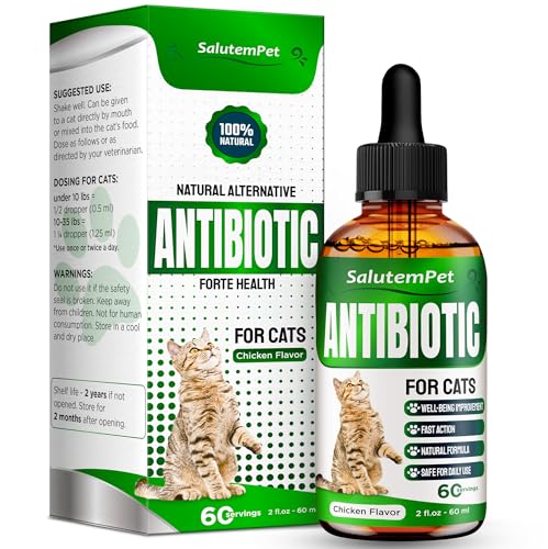Best Antibiotic for Upper Respiratory Infection in Cats: Effective Natural Drops