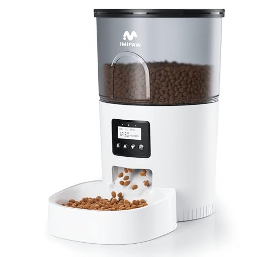 Best Automatic Cat Feeder Reddit