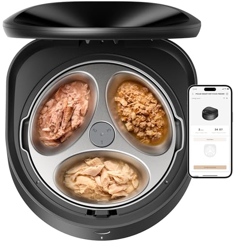 Best Automatic Wet Cat Food Feeder for Fresh, Timed Meals and Cooling