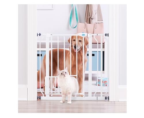 Best Baby Gate With Cat Door for Safe and Easy Pet Access