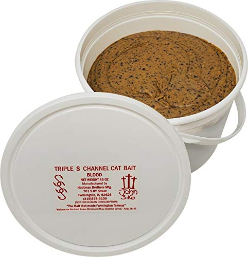 Best Bait for Channel Cats: Top Dip Baits and Lures to Catch More