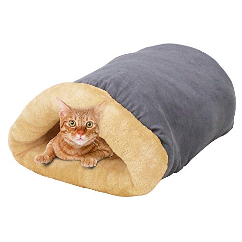 Best Bed for Sphynx Cat: Cozy, Self-Warming, and Washable Cat Beds