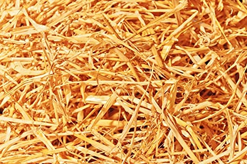 Best Bedding for Feral Cats: Top Cozy and Natural Options Reviewed