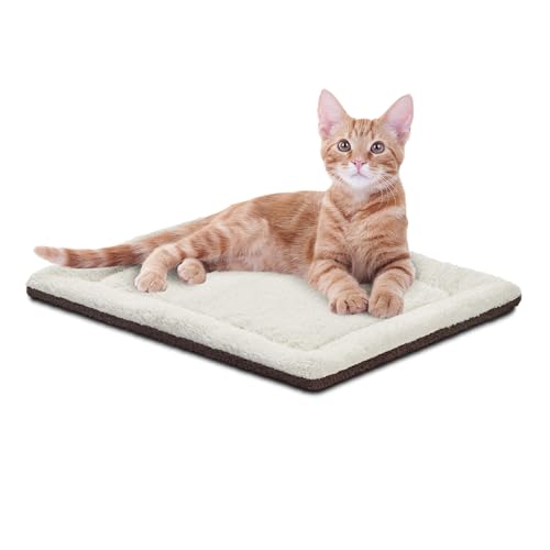 Best Bedding for Outdoor Cats