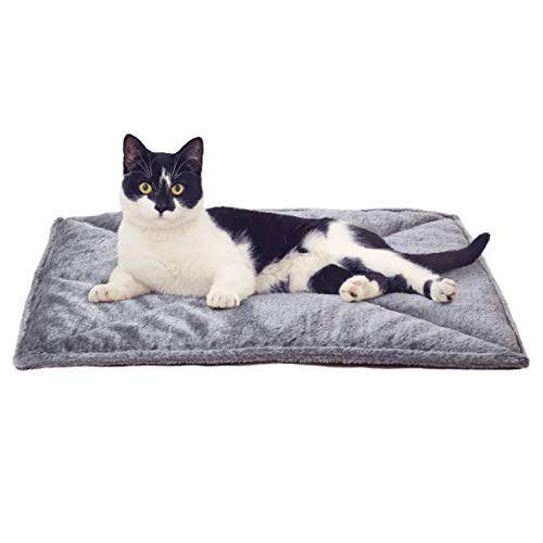 Best Bedding for Outside Cats: Top Self-Warming & Cooling Beds Reviewed