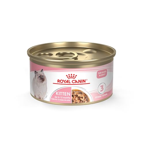 Best Brand of Wet Cat Food for Kittens: Top Nutritious Picks Reviewed
