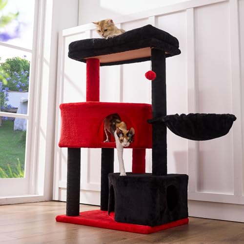 Best Breed of Cat for Apartments: Top Picks and Essential Cat Furniture