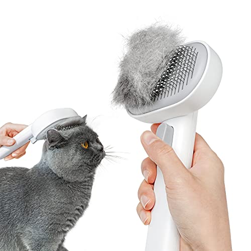 Best Brush for Cats With Long Hair: Top Grooming Tools for Shedding