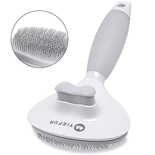 Best Brushes for Short Haired Cats to Reduce Shedding Effectively