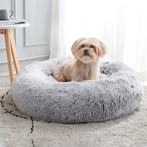 Best Calming Bed for Cats: Ultimate Cozy Comfort and Anxiety Relief