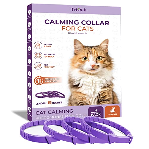 Best Calming Collar for Cats: Top Adjustable Pheromone Collars Reviewed