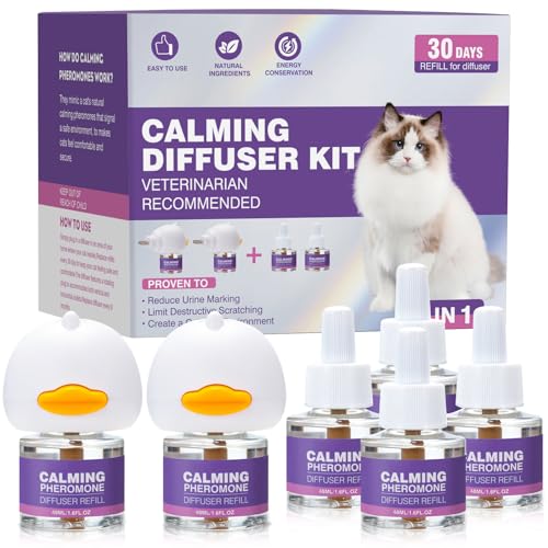 Best Calming Diffuser for Cats