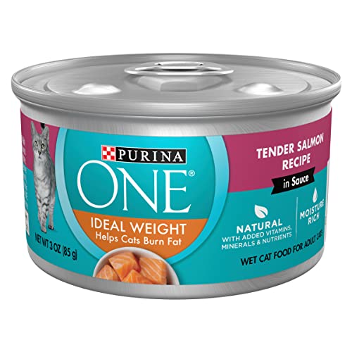 Best Canned Cat Food for Weight Loss