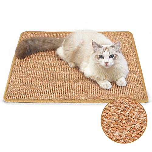 Best Carpet for Cats That Scratch: Durable Sisal Mats to Protect Furniture