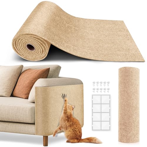 Best Carpet for Cats With Claws: Ultimate Furniture Scratch Protection Guide