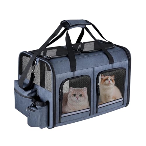 Best Carrier for 2 Cats: Top Double Cat Carriers for Easy Travel