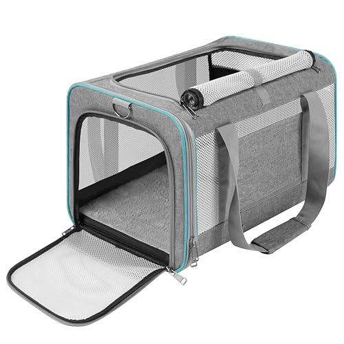Best Carrier for Large Cats: Top Soft-Sided and Durable Travel Options