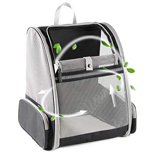 Best Cat Backpack for Large Cats: Spacious, Breathable, and Travel-Ready Designs