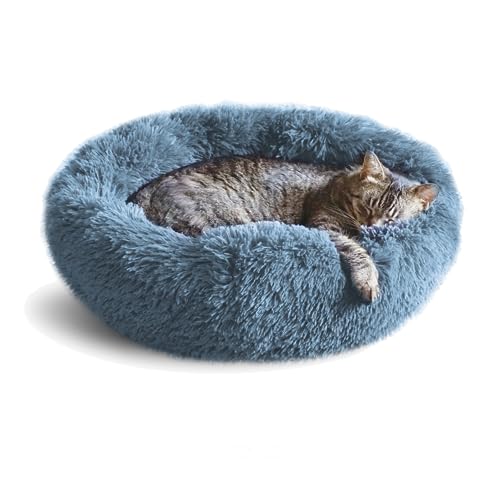 Best Cat Beds for Older Cats: Orthopedic, Cozy, and Washable Picks