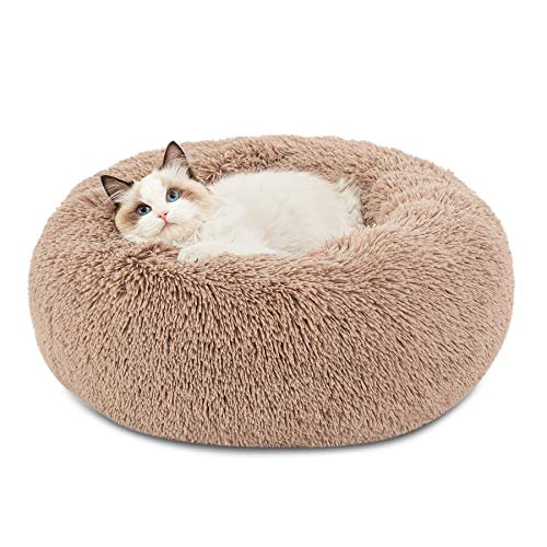 Best Cat Beds for Senior Cats: Cozy, Supportive, and Washable Picks
