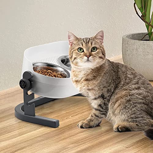 Best Cat Bowls for Messy Eaters