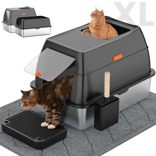 Best Cat Box for Multiple Cats: Large, Durable, and Easy-Clean Solutions