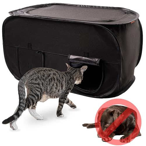 Best Cat Box to Keep Dogs Out: Top Dog-Proof Litter Boxes Reviewed
