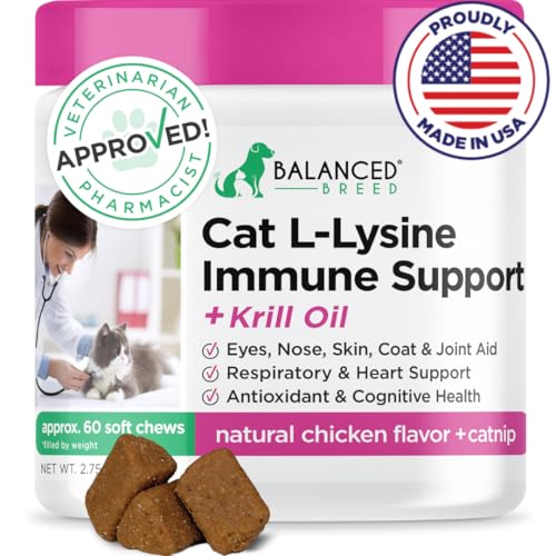 Best Cat Breed for Allergies