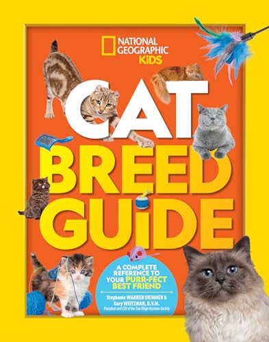 Best Cat Breed for Kids: Top Family-Friendly Cats to Consider