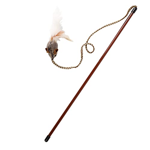 Best Cat Breed for Mousing: Top Picks Plus Play Wand Toy Benefits