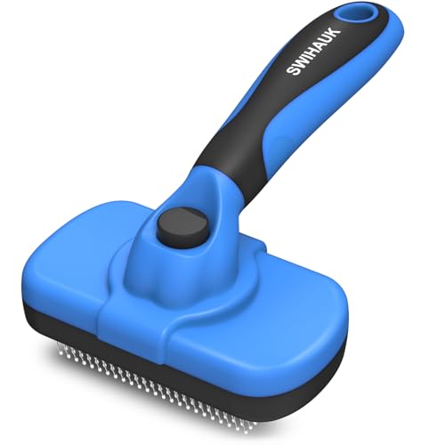 Best Cat Brush for Dandruff: Top Grooming Tools to Reduce Flakes