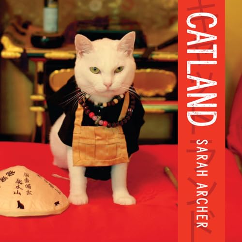 Best Cat Cafes in Tokyo: Top Spots for Cat Lovers and Coffee Fans