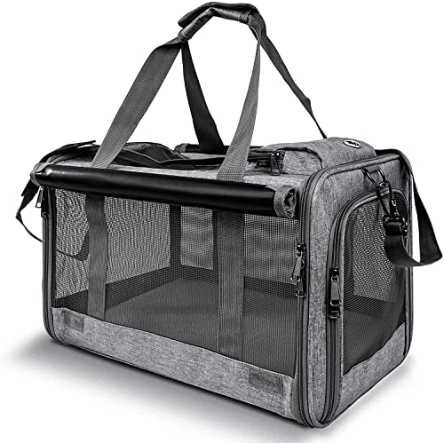 Best Cat Carrier for Big Cats: Top Durable and Spacious Travel Bags