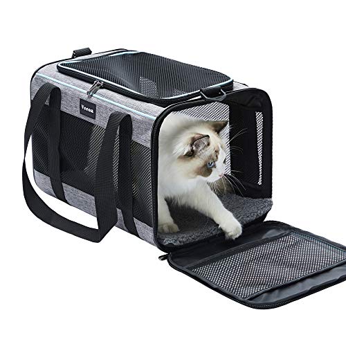 Best Cat Carriers for Car Travel: Top Comfortable and Secure Picks